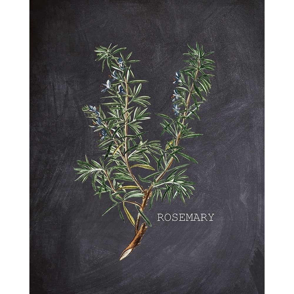 Blackboard Herbs 2 Poster Print by Allen Kimberly-VARPDXKARC1468B Image 1