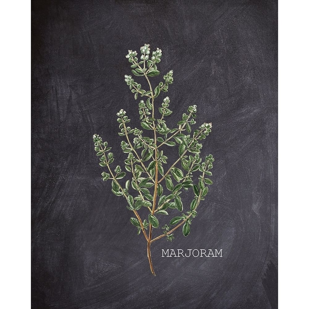 Blackboard Herbs 3 Poster Print by Allen Kimberly-VARPDXKARC1468C Image 1