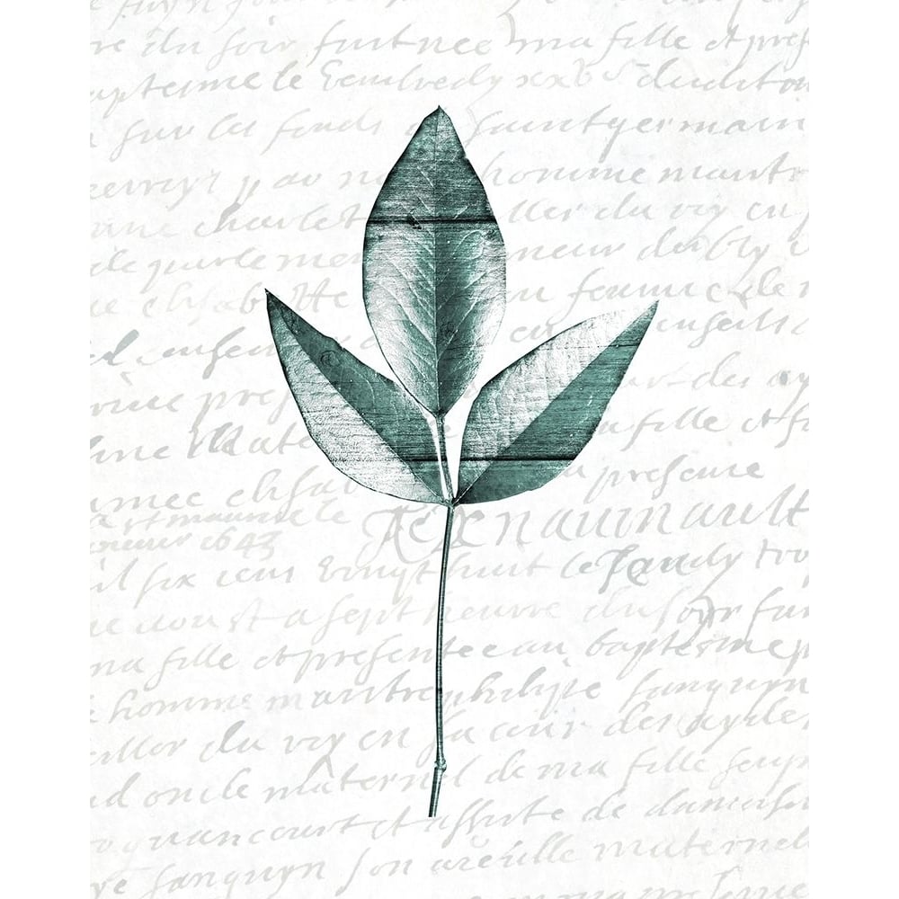 Pressed Leaves 2 Poster Print by Allen Kimberly-VARPDXKARC1511B Image 1