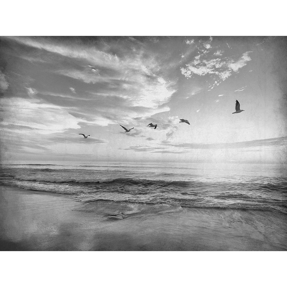 Soaring Above The Sea Poster Print by Allen Kimberly-VARPDXKARC1521B Image 1