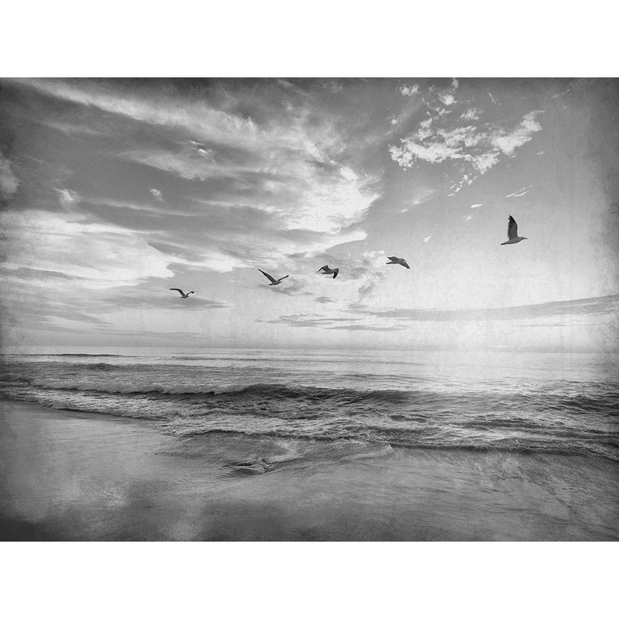 Soaring Above The Sea Poster Print by Allen Kimberly-VARPDXKARC1521B Image 1