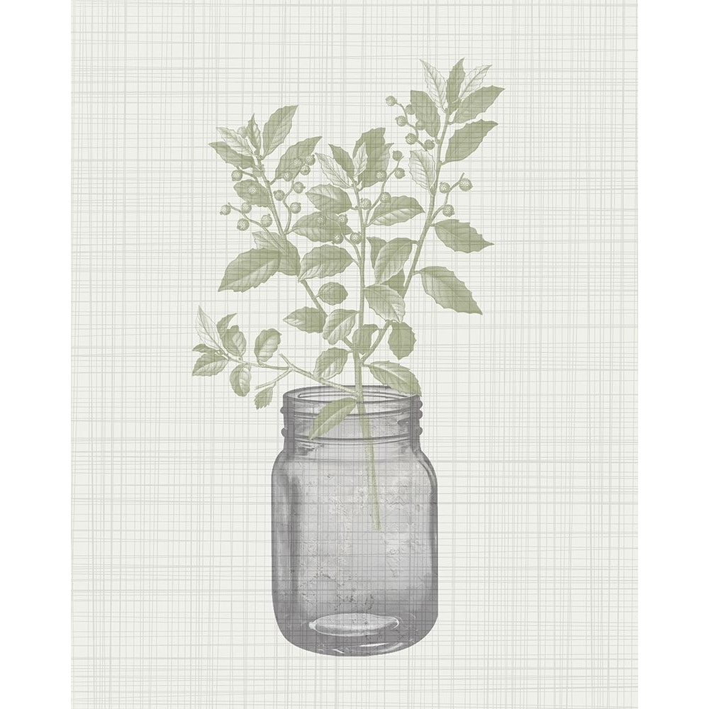 In the Jar 2 Poster Print by Allen Kimberly-VARPDXKARC1538B Image 1