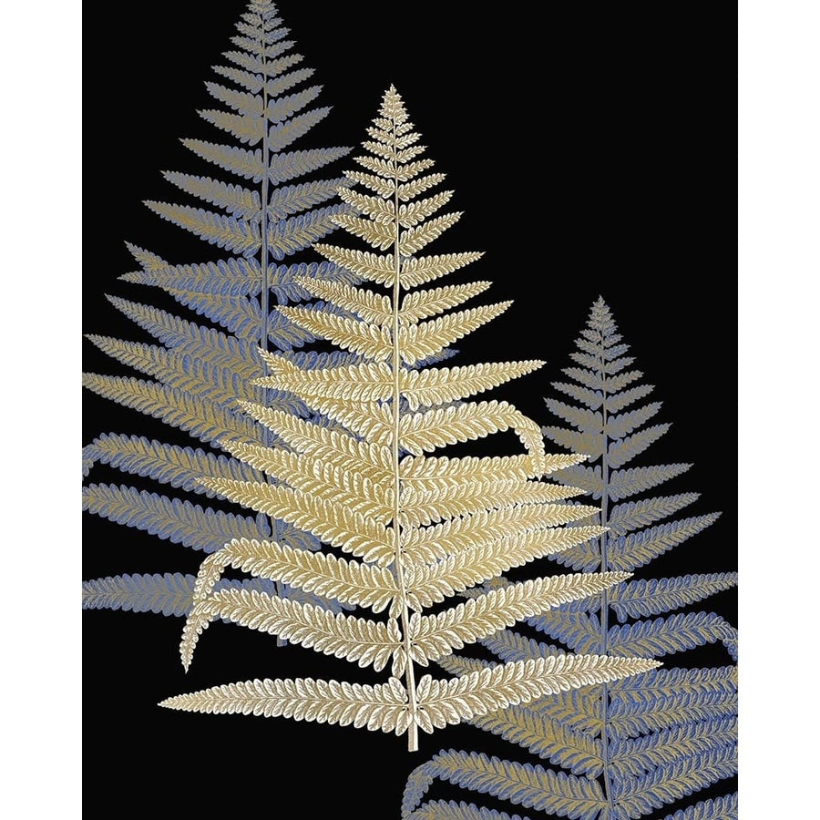 Gilded Fern 2 Poster Print by Allen Kimberly-VARPDXKARC1614C Image 1