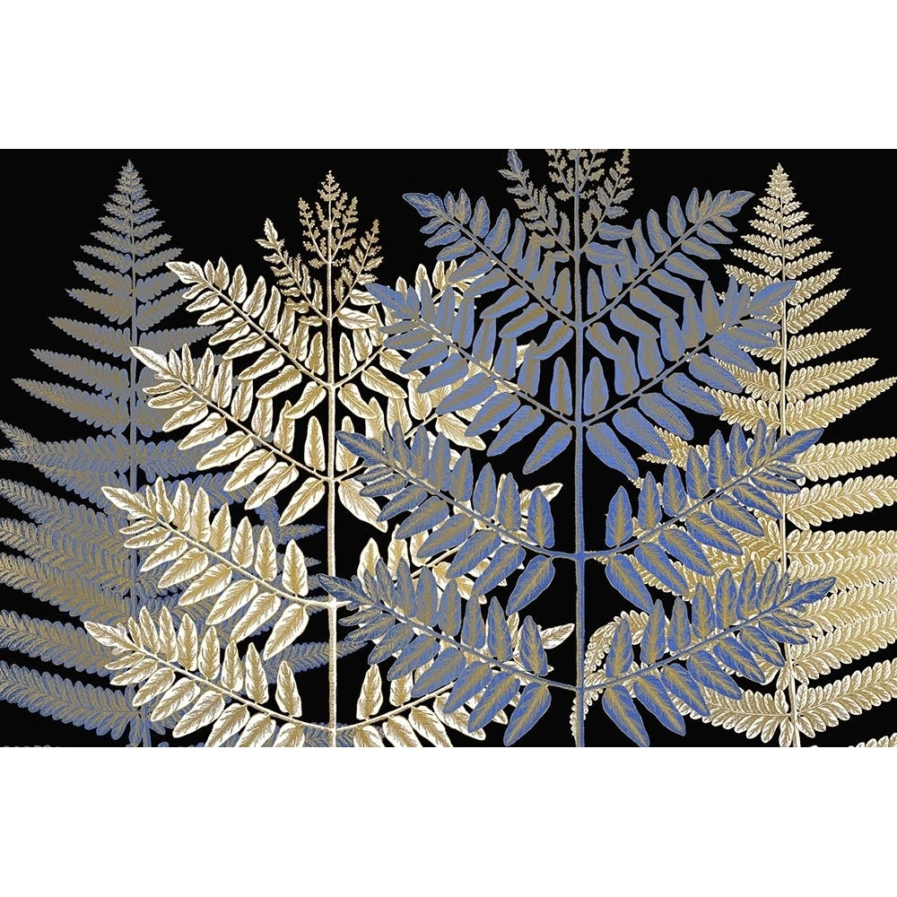 Gilded Ferns Poster Print by Allen Kimberly-VARPDXKARC1614A Image 1