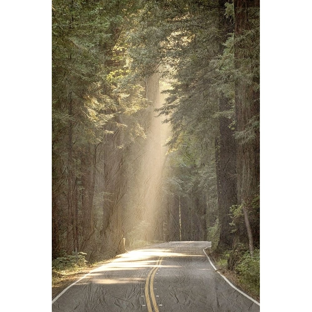 Lets get Lost Road Poster Print by Allen Kimberly-VARPDXKARC1629A Image 1