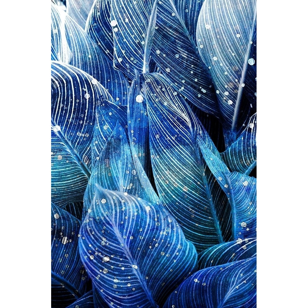 Midnight Palm Leaves 1 Poster Print by Allen Kimberly-VARPDXKARC1730A Image 1