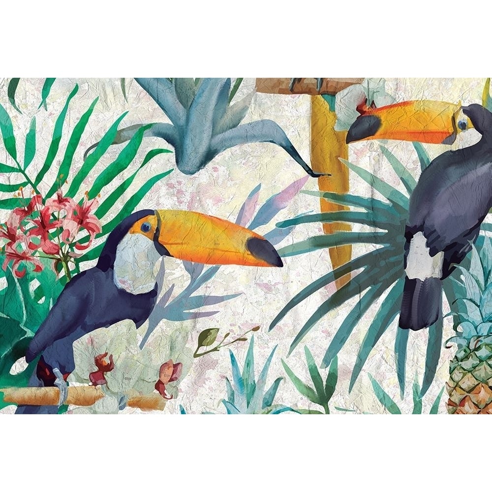 Tropical Tucan Poster Print by Allen Kimberly-VARPDXKARC1755 Image 1