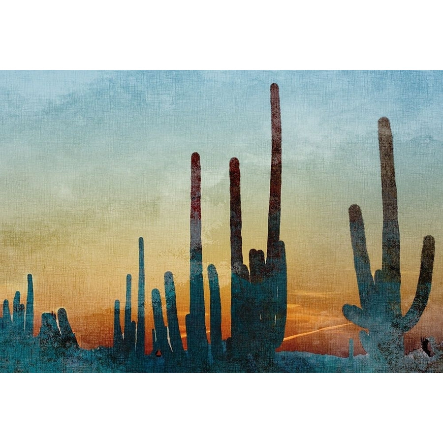 Saguaro Cactus Poster Print by Allen Kimberly-VARPDXKARC1919A Image 1