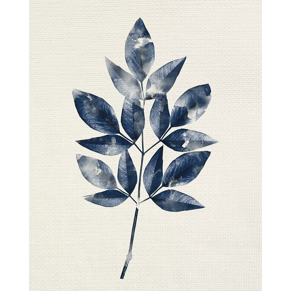 Indigo Leaves 1 Poster Print by Kimberly Allen-VARPDXKARC2038A Image 1