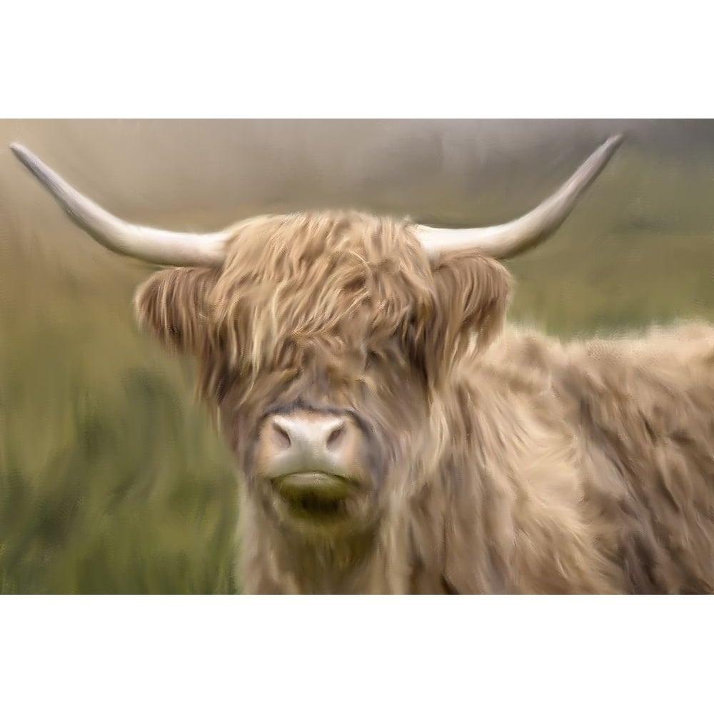 Highland Poster Print by Kimberly Allen-VARPDXKARC2056 Image 1