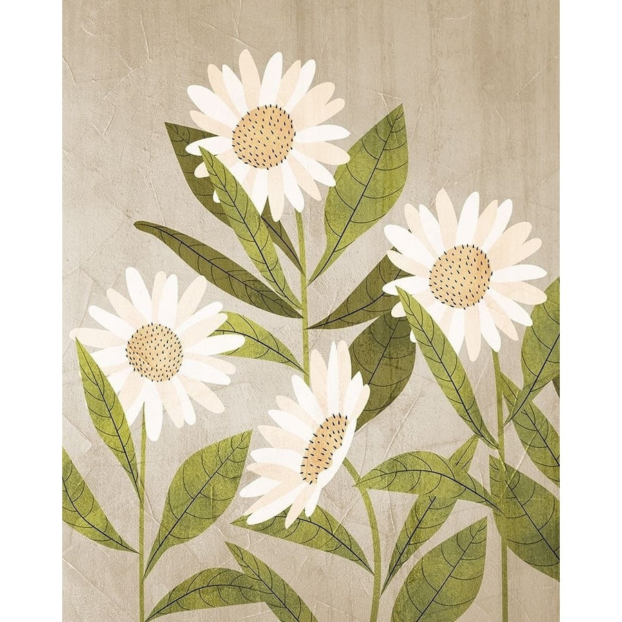 Daisies 1 by Kimberly Allen-VARPDXKARC2226A Image 1