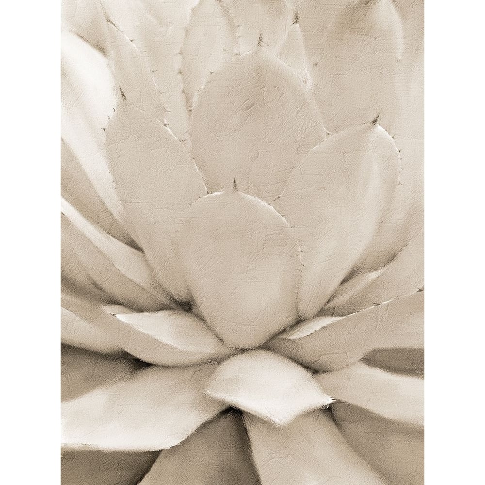 Agave Neutral 1 by Kimberly Allen-VARPDXKARC2242A Image 1