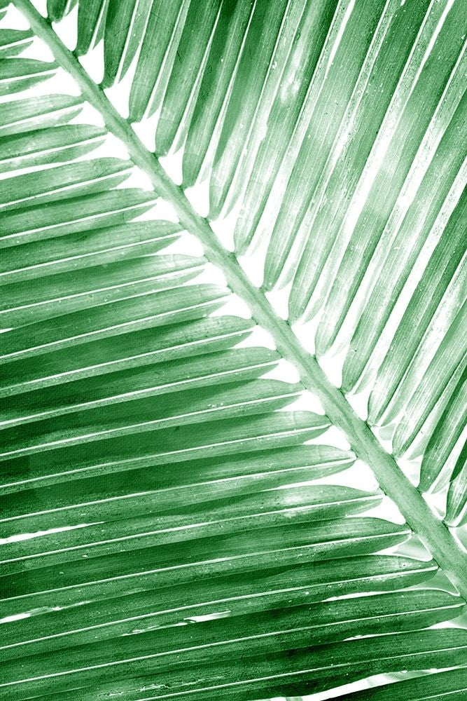 Tropical 2 by Kimberly Allen-VARPDXKARC2259B Image 1