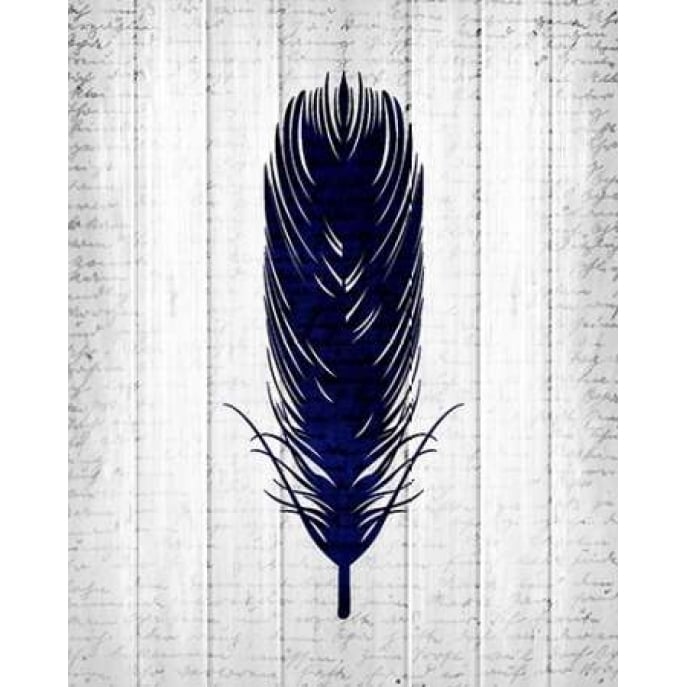 Feathered 1 Poster Print by Kimberly Allen-VARPDXKARC233A Image 1