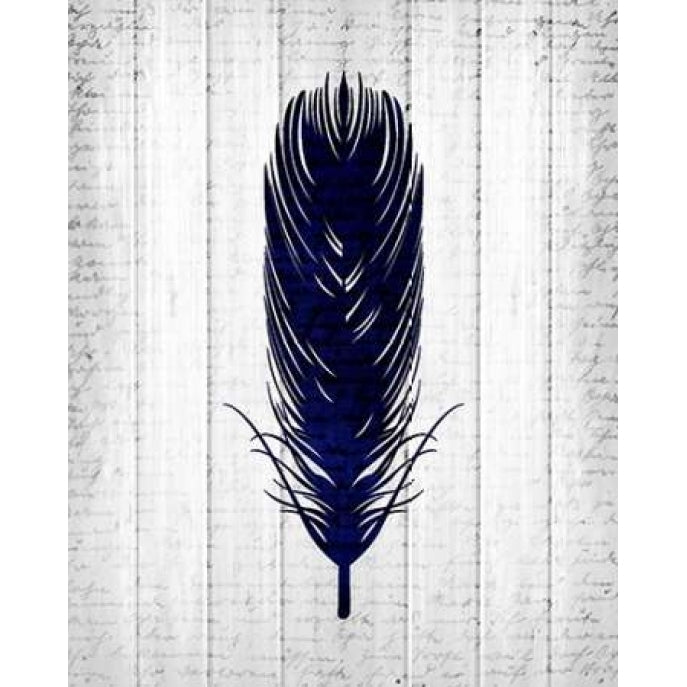 Feathered 1 Poster Print by Kimberly Allen-VARPDXKARC233A Image 2