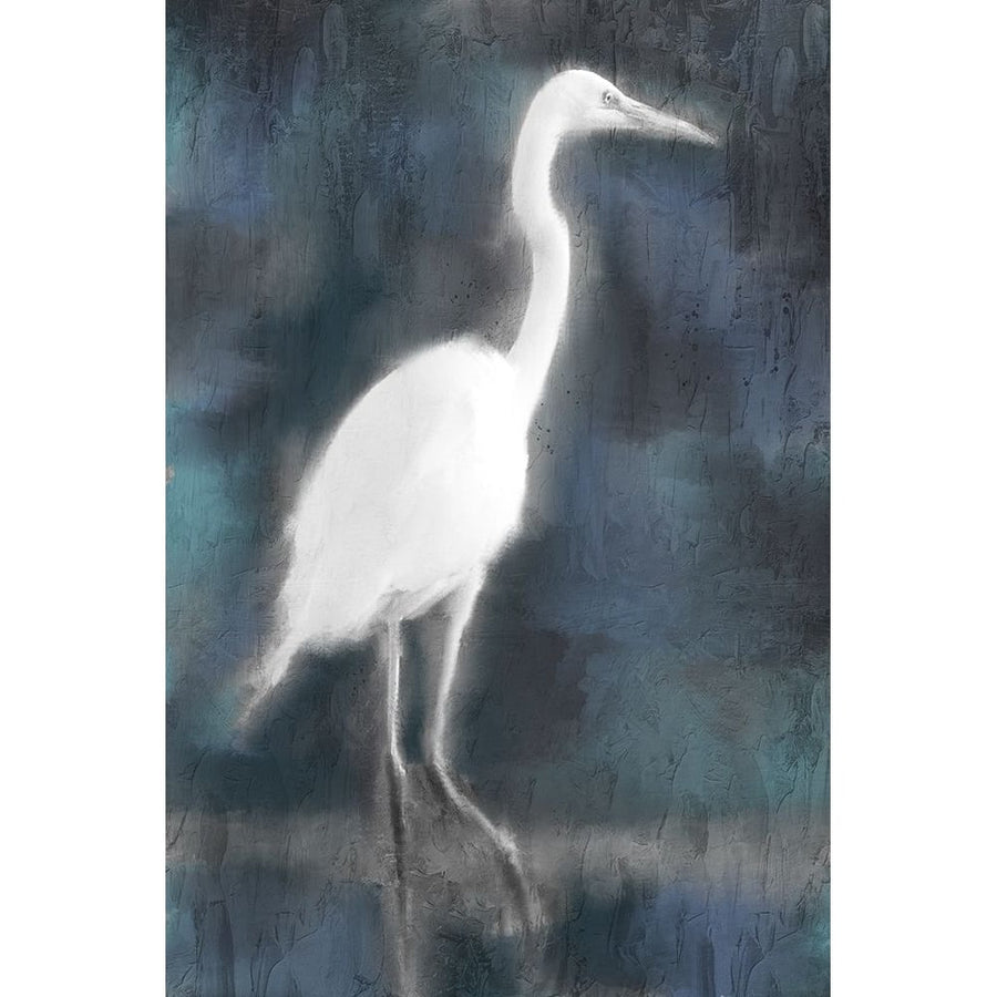 White Heron by Kimberly Allen-VARPDXKARC2353 Image 1