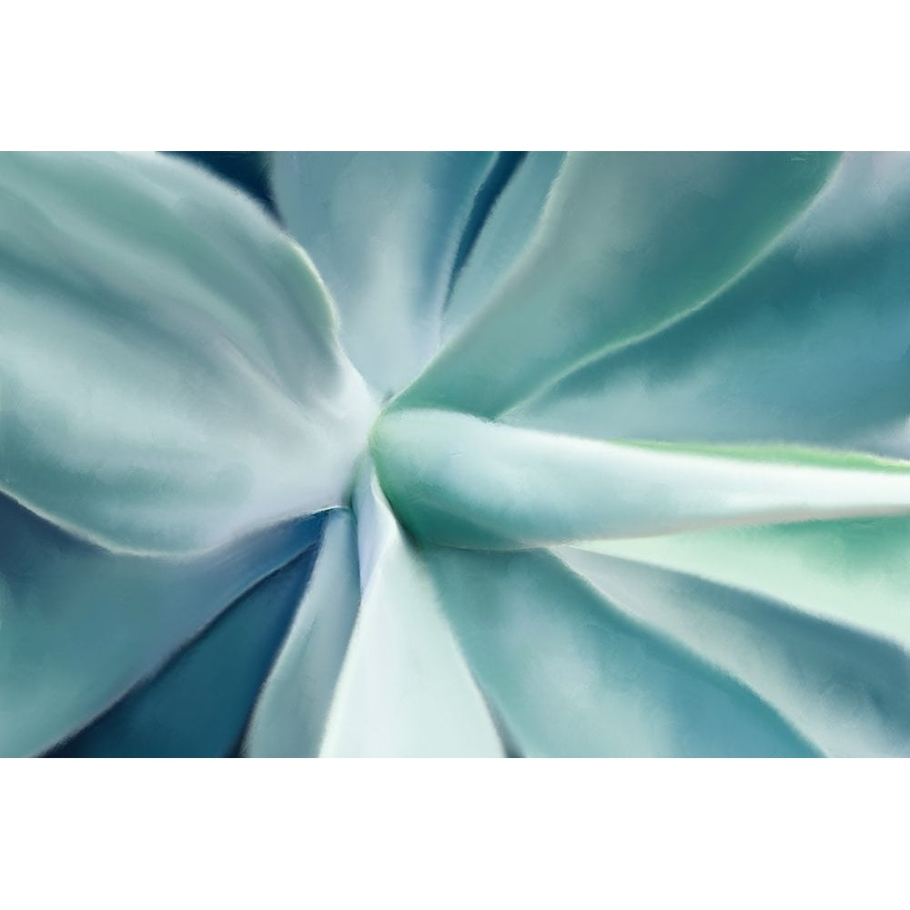 Agave by Kimberly Allen-VARPDXKARC2355 Image 1