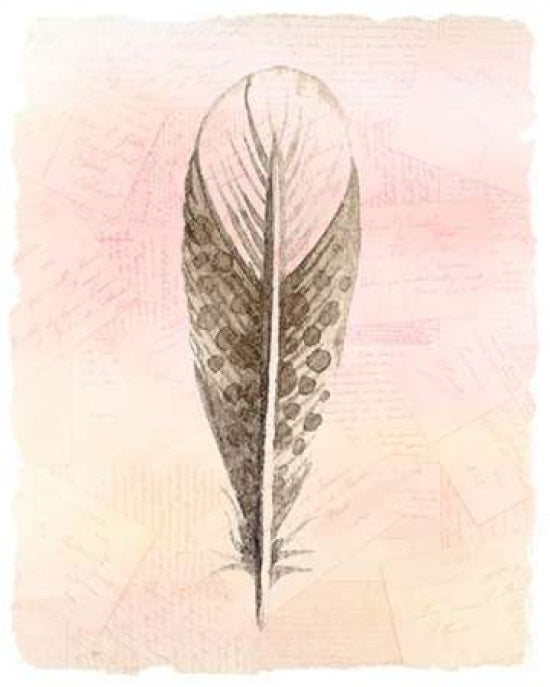 Spring Feather 3 Poster Print by Kimberly Allen-VARPDXKARC274C Image 1