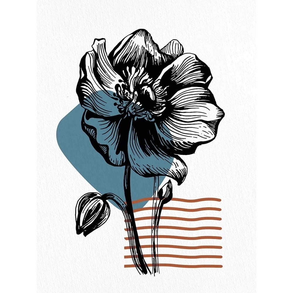 Inked Floral 1 by Kimberly Allen-VARPDXKARC2744A Image 1