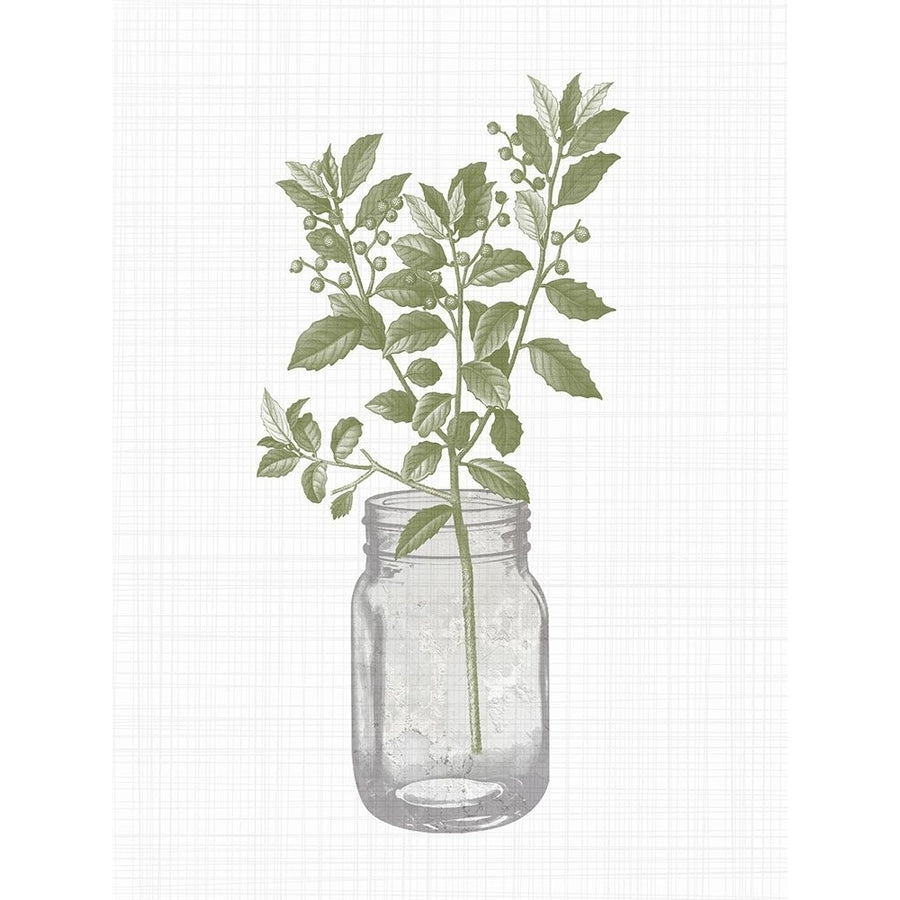 Jar Herbs 2 Poster Print - Kimberly Allen-VARPDXKARC2889B Image 1