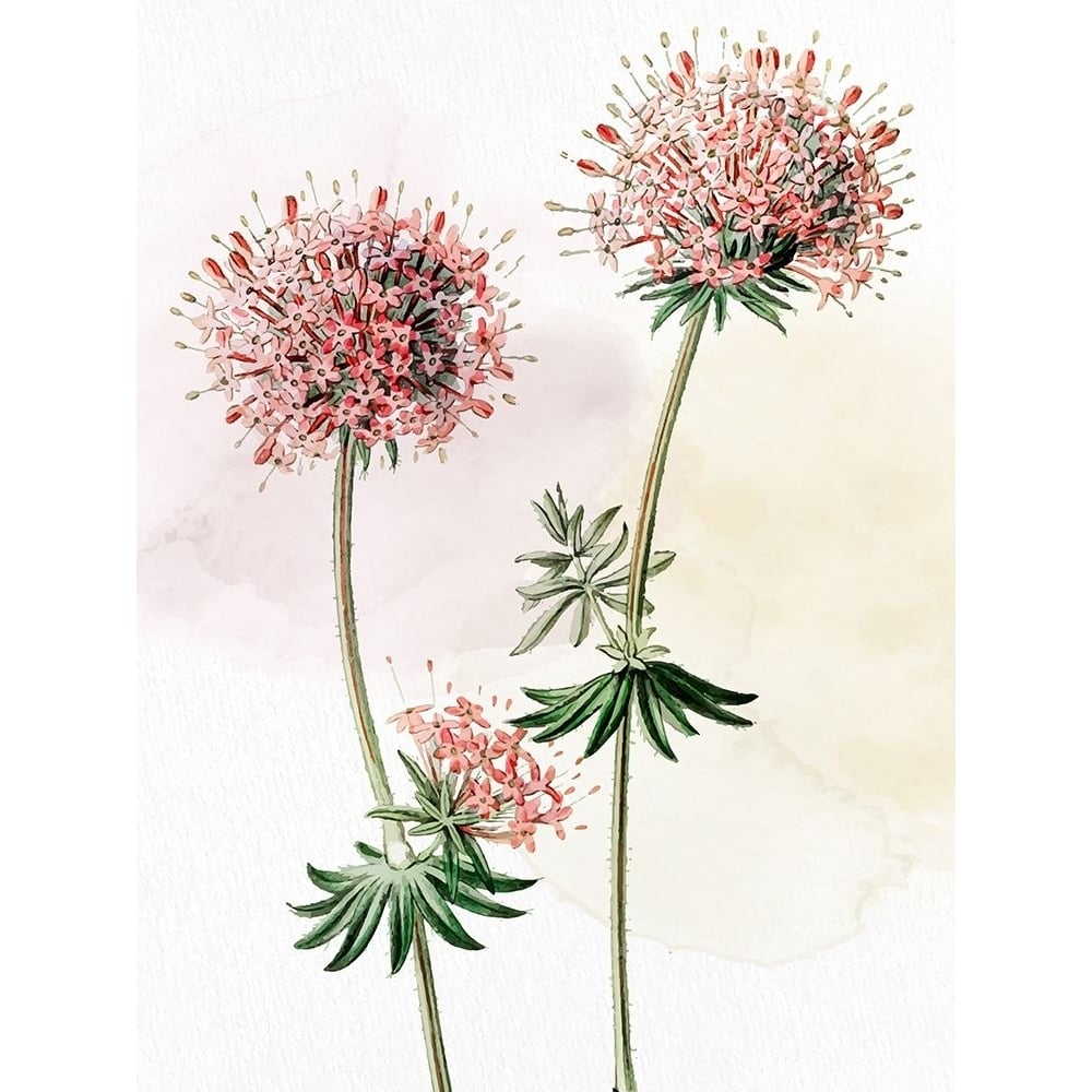 Watercolor Crosswort Poster Print - Kimberly Allen-VARPDXKARC3081B Image 1