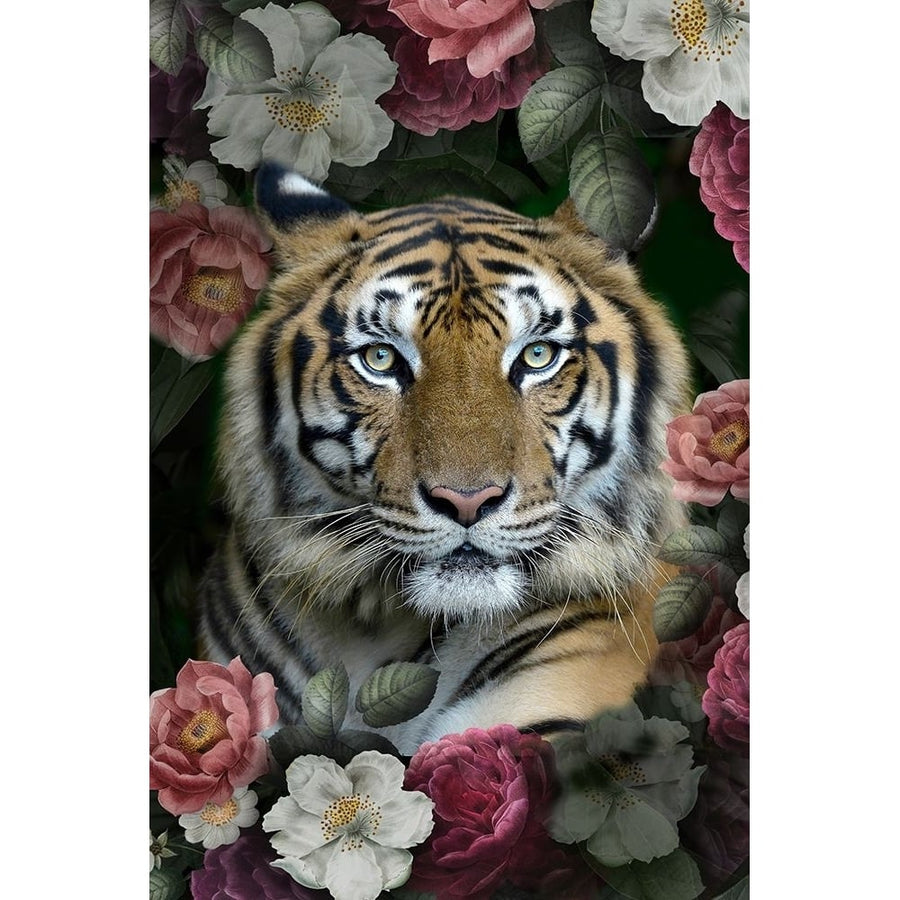 Lush Garden Tiger Poster Print - Kimberly Allen-VARPDXKARC3082A Image 1