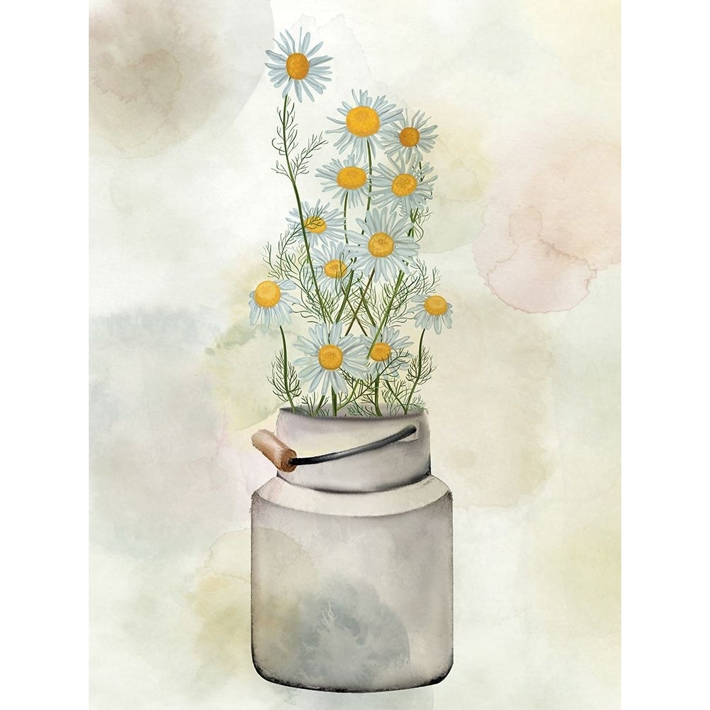 Tin Of Daisies Poster Print - Kimberly Allen-VARPDXKARC3118A Image 1