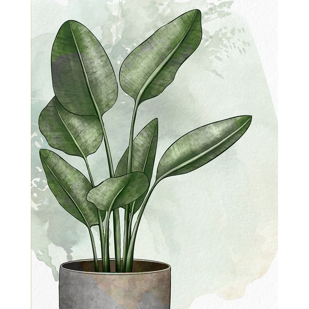 House Plant 1 Poster Print - Kimberly Allen-VARPDXKARC3173A Image 1