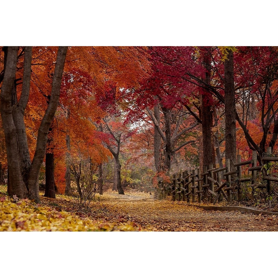 Autumn Stroll Poster Print - Kimberly Allen-VARPDXKARC3189A Image 1