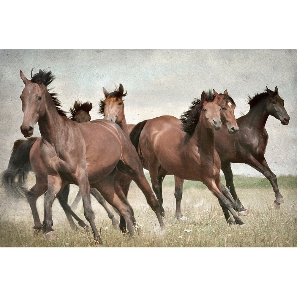 Running Wild Horses Poster Print - Kimberly Allen-VARPDXKARC3296A Image 1