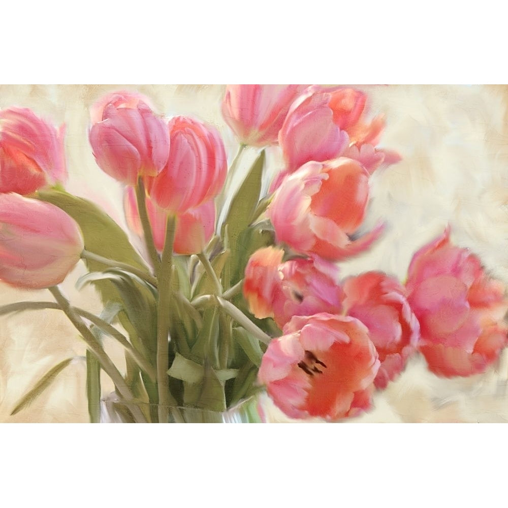 Vase of Tulips Poster Print - Kimberly Allen-VARPDXKARC3377B Image 1