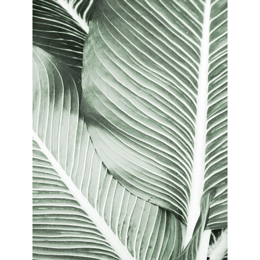 Palm Print 1 Poster Print - Kimberly Allen-VARPDXKARC3536A Image 1