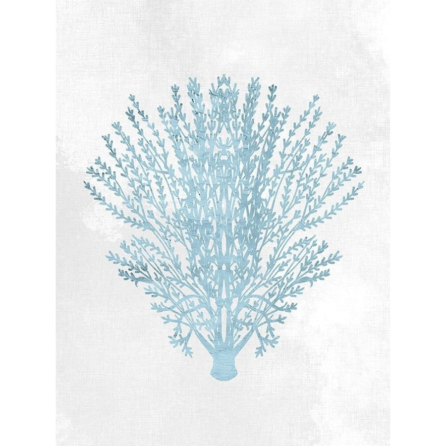 Coral Blue 1 Poster Print - Kimberly Allen-VARPDXKARC3864A Image 1