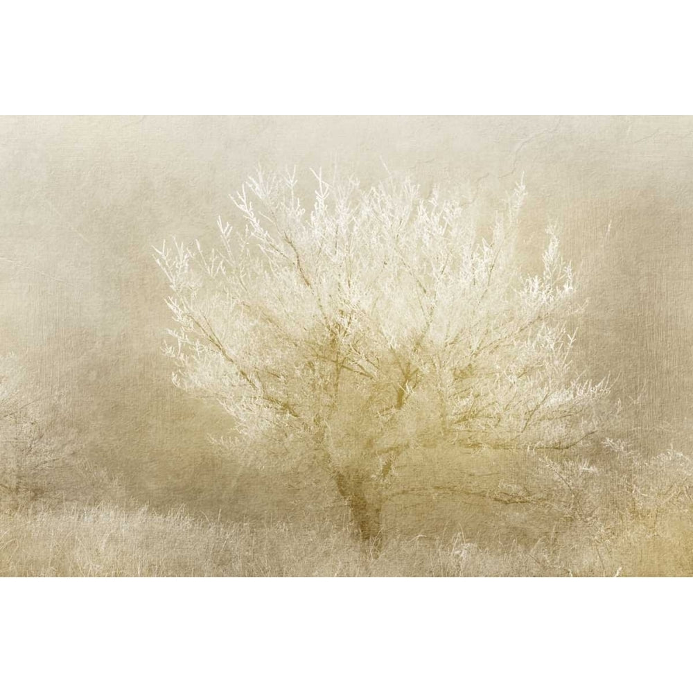 Dreaming Tree Poster Print by Kimberly Allen-VARPDXKARC397 Image 2