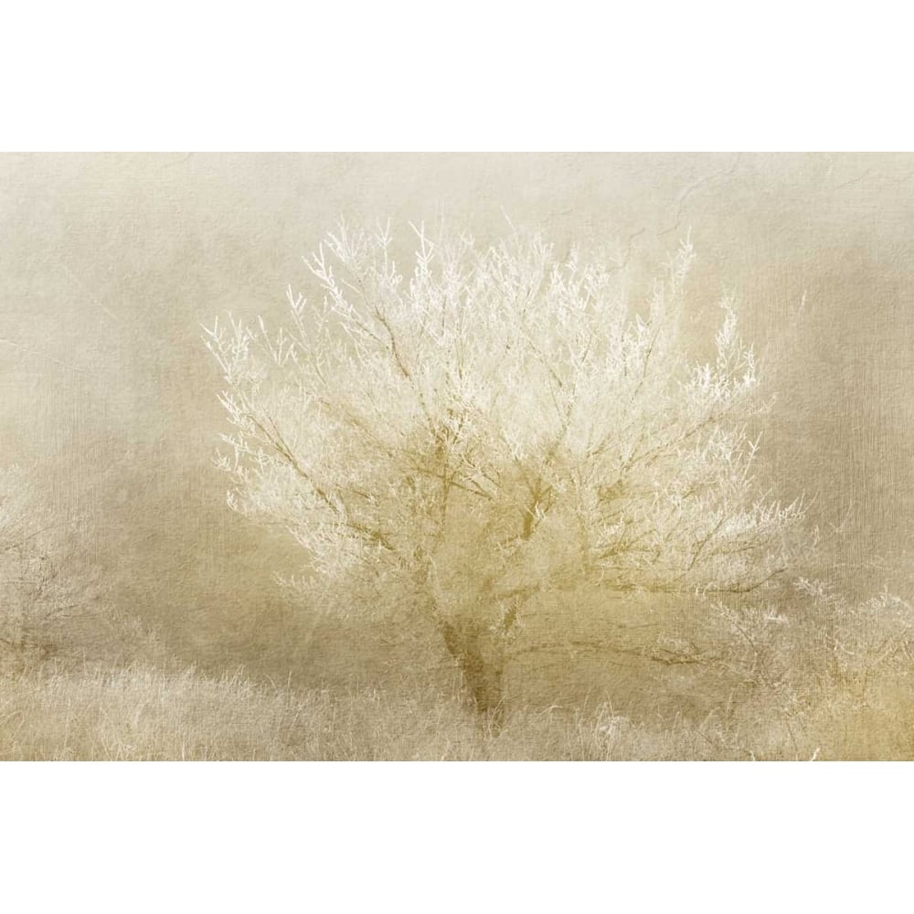 Dreaming Tree Poster Print by Kimberly Allen-VARPDXKARC397 Image 1