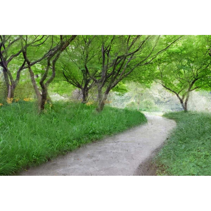 Along the Path Poster Print by Kimberly Allen-VARPDXKARC413A Image 2