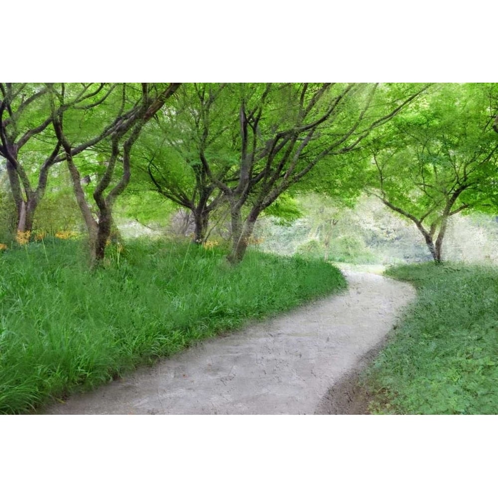 Along the Path Poster Print by Kimberly Allen-VARPDXKARC413A Image 1