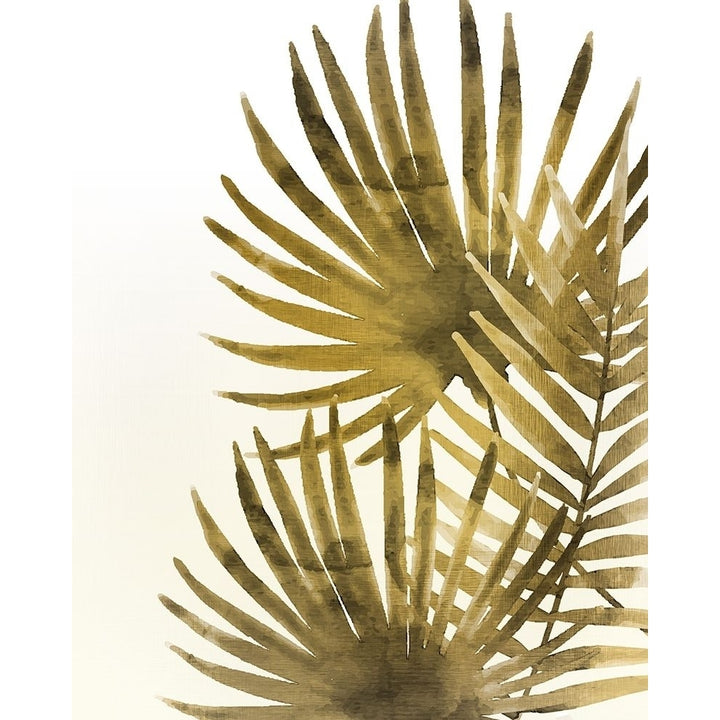 Ferns 2 Poster Print by Allen Kimberly-VARPDXKARC574B Image 2