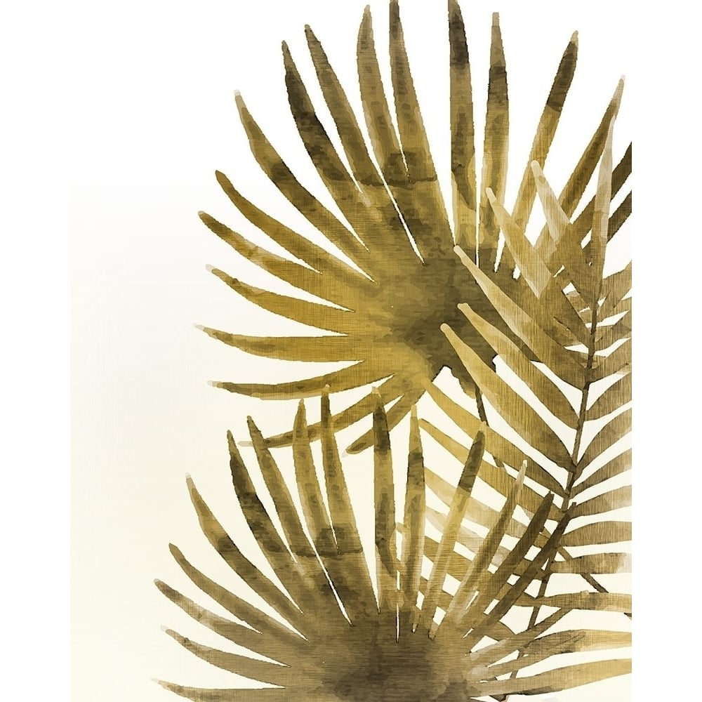 Ferns 2 Poster Print by Allen Kimberly-VARPDXKARC574B Image 1