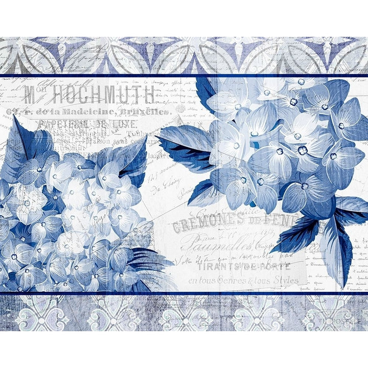 Hydrangea 2 Poster Print by Allen Kimberly-VARPDXKARC567B Image 1