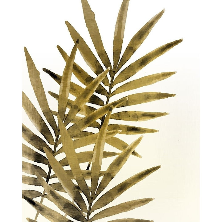 Ferns 1 Poster Print by Allen Kimberly-VARPDXKARC574A Image 1