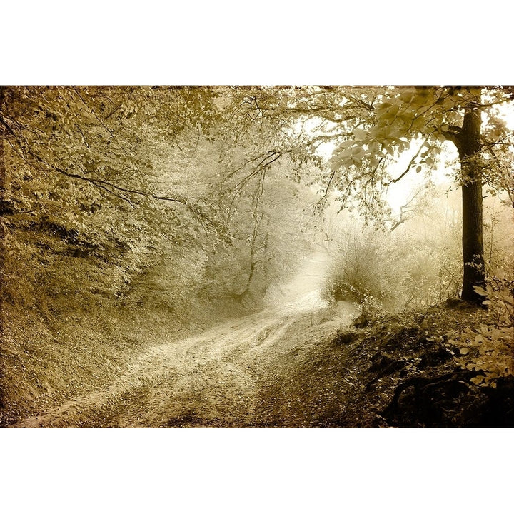 Autumn walk Poster Print by Allen Kimberly-VARPDXKARC589A Image 1