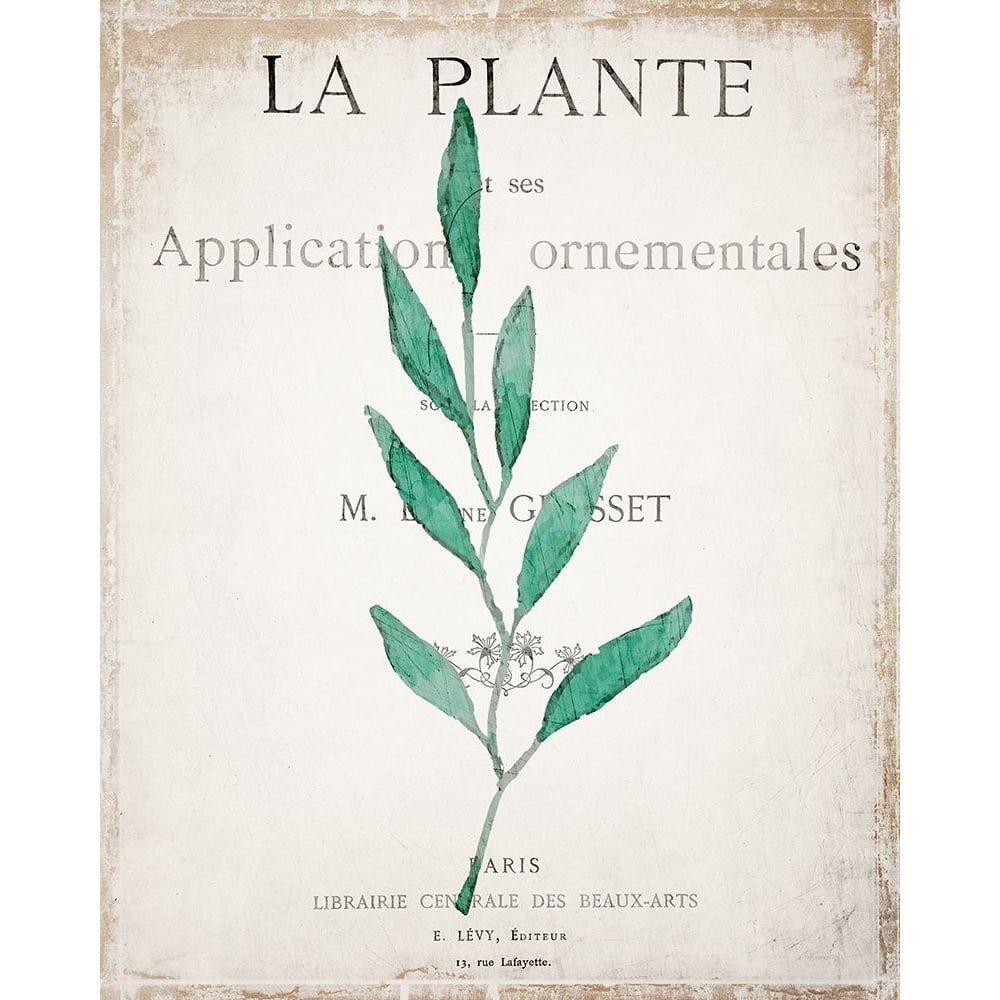 Botanical Pages 1 Poster Print by Allen Kimberly-VARPDXKARC704A Image 1