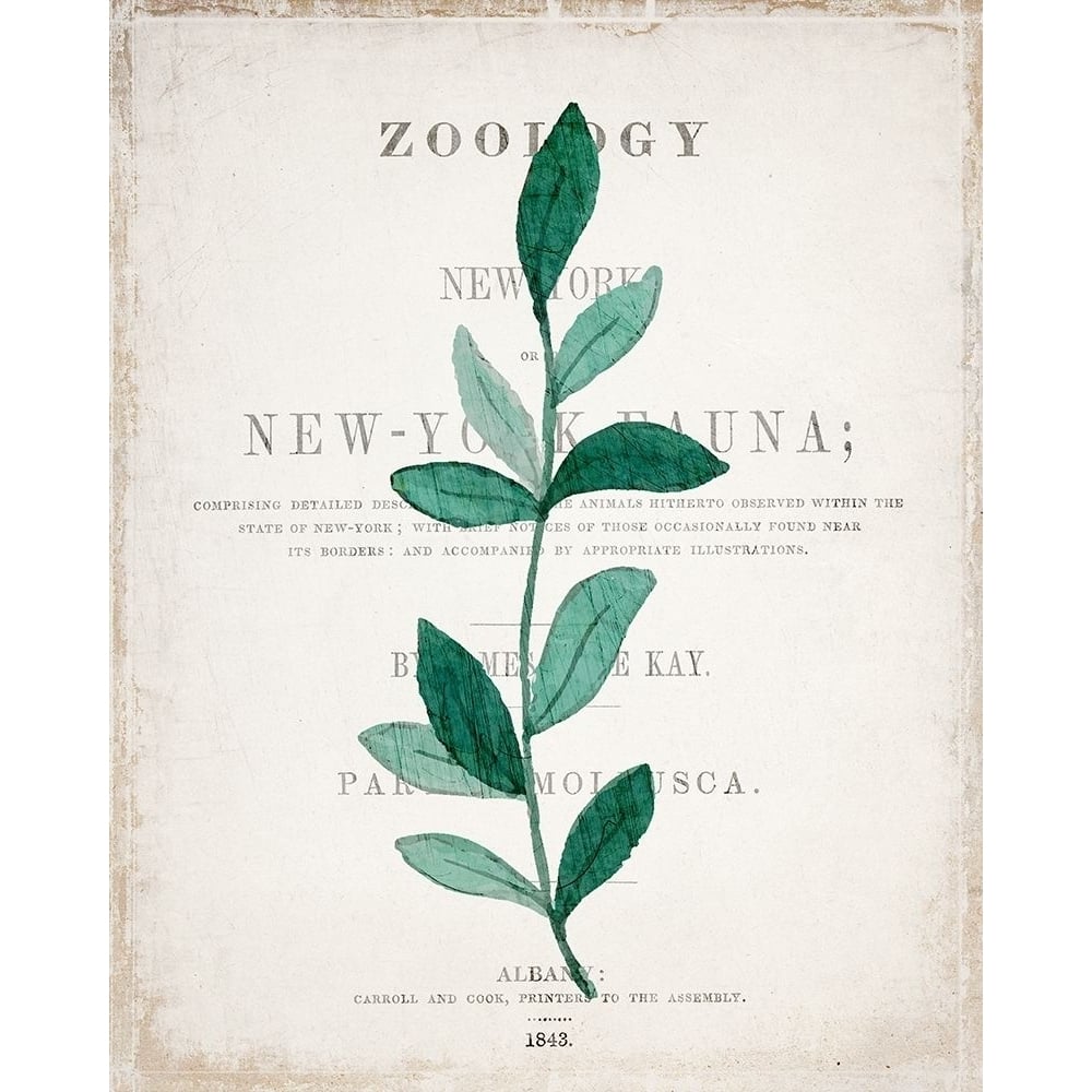 Botanical Pages 2 Poster Print by Allen Kimberly-VARPDXKARC704B Image 1