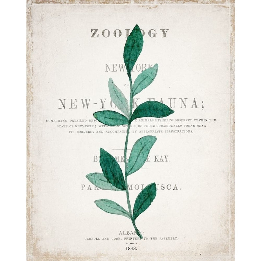 Botanical Pages 2 Poster Print by Allen Kimberly-VARPDXKARC704B Image 1