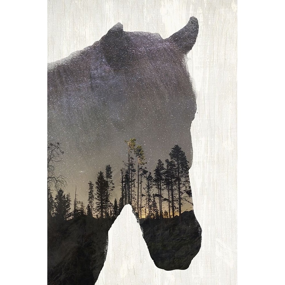 Starry Night Horse Poster Print by Allen Kimberly-VARPDXKARC731B Image 1