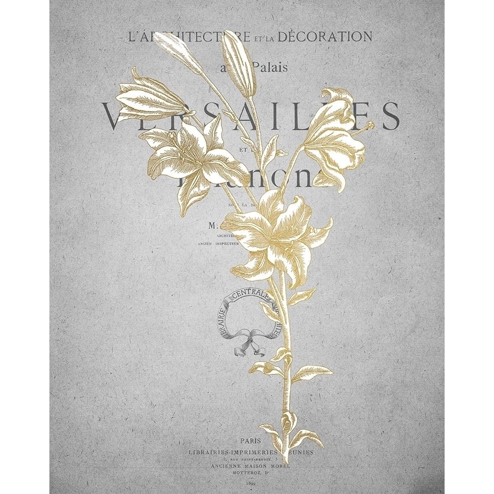 Gold Botanicals 1 Poster Print by Allen Kimberly-VARPDXKARC776A Image 1