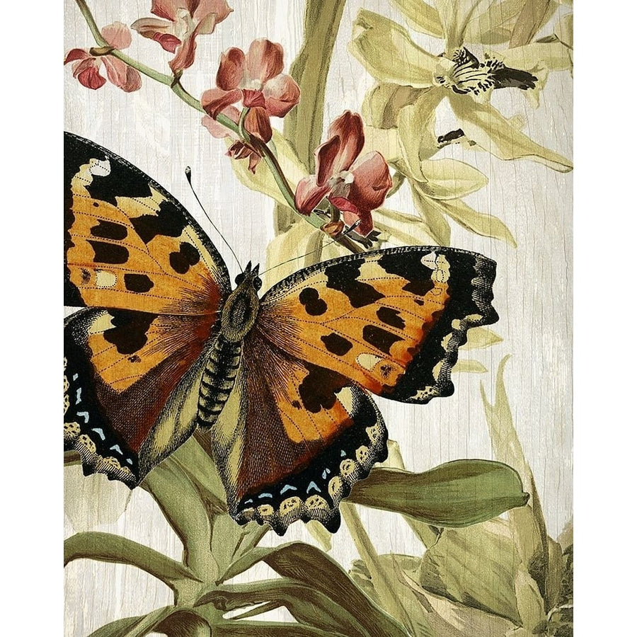 Butterfly World 2 Poster Print by Allen Kimberly-VARPDXKARC774B Image 1