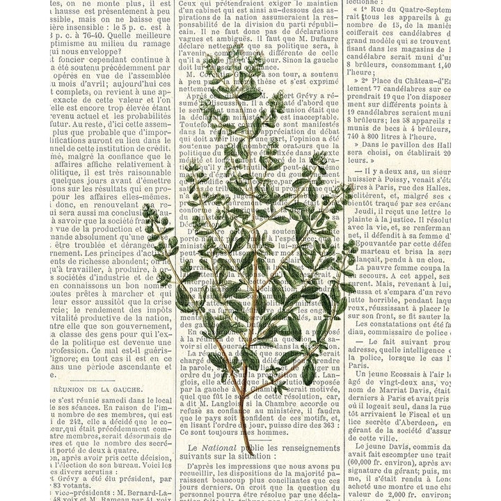 Fresh Herbs 3 Poster Print by Kimberly Allen-VARPDXKARC775C Image 2