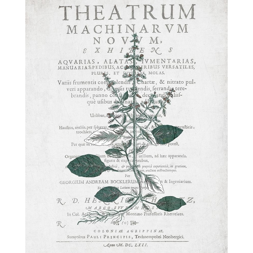 Botanical 2 Poster Print by Allen Kimberly-VARPDXKARC625B Image 1